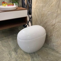 BÀN CẦU THÔNG MINH VIGLACERA V96 CHÍNH HÃNG