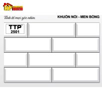 GẠCH TRANG TRÍ 25X40 Ô CHỮ NHẬT TRẮNG ĐAN XEN 2501 CAO CẤP GIÁ RẺ