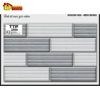 GẠCH TRANG TRÍ 25X40 Ô HÌNH CHỮ NHẬT ĐAN XEN 2509 CAO CẤP
