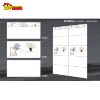 GẠCH ỐP TƯỜNG 30X60 TRẮNG TRƠN SIÊU BÓNG ĐIỂM BÓ BÔNG