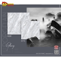 GẠCH LÁT NỀN 60X60 VÂN ĐÁ XÁM 5773