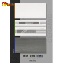 GẠCH ỐP TƯỜNG 30X60 VÂN XÁM 2053