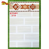 GẠCH ỐP TƯỜNG 25X40 SỌC GỖ VÀNG 48