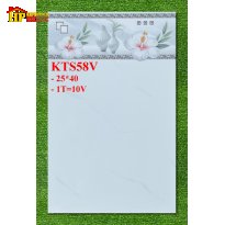 GẠCH ỐP TƯỜNG 25X40 TRẮNG VÂN KHÓI 58