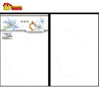 GẠCH ỐP TƯỜNG 25X40 TRẮNG KHÓI GIÁ RẺ 2806