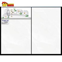 GẠCH ỐP TƯỜNG 25X40 TRẮNG VÂN MÂY GIÁ RẺ 2805