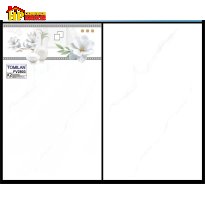 GẠCH ỐP TƯỜNG 25X40 TRẮNG VÂN KHÓI BÔNG TRẮNG GIÁ RẺ 2803
