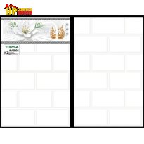 GẠCH ỐP TƯỜNG 25X40 TRẮNG Ô CHỮ NHẬT ĐIỂM THIÊN NGA 2905