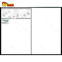 GẠCH ỐP TƯỜNG 25X40 TRẮNG VÂN KHÓI ĐIỂM BÔNG CÚC 2902