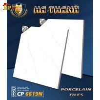 GẠCH LÁT NỀN 60X60 TRẮNG VÂN KHÓI GIÁ RẺ 6619