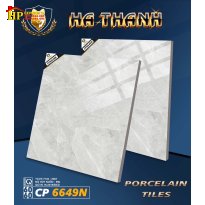 GẠCH LÁT NỀN 60X60 VÂN ĐÁ MARBLE XÁM 49