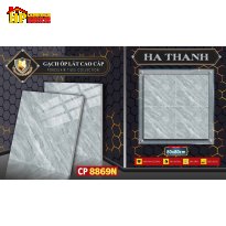 GẠCH LÁT NỀN 80X80 VÂN ĐÁ XÁM 8869