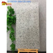 GẠCH LÁT NỀN 60X120 ĐÁ MÀI TERRAZZO 009