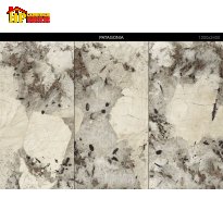 GẠCH LÁT NỀN 120X240 VÂN ĐÁ MARBLE XÁM NÂU NHẬP KHẨU CAO CẤP