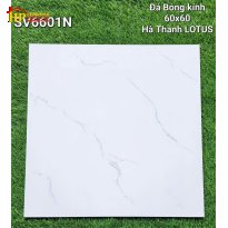 GẠCH LÁT NỀN 60X60 TRẮNG VÂN KHÓI 6601N CAO CẤP GIÁ RẺ