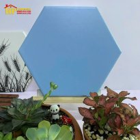 GẠCH LÁT NỀN 200X230 LỤC GIÁC XANH BIỂN CAO CẤP GIÁ RẺ