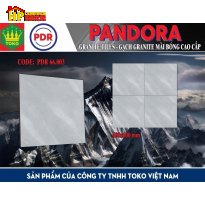 GẠCH LÁT NỀN 60X60 VÂN ĐÁ XÁM 66.003 CAO CẤP GIÁ RẺ