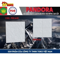 GẠCH LÁT NỀN 60X60 VÂN NHIỄM XÁM 66001 CAO CẤP GIÁ RẺ