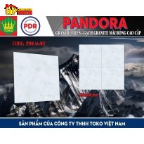 GẠCH LÁT NỀN 60X60 VÂN ĐÁ XANH 66.002 CAO CẤP GIÁ RẺ