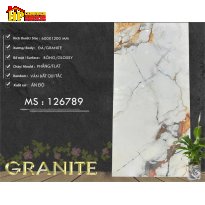 GẠCH LÁT NỀN 60X120 VÂN ĐÁ MARBLE 126789 CAO CẤP GIÁ RẺ