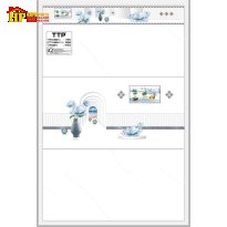 GẠCH ỐP TƯỜNG 40X80 TRẮNG VÂN KHÓI NHẸ ĐIỂM BÔNG XANH  48601 CAO CẤP GIÁ RẺ