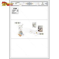 GẠCH ỐP TƯỜNG 40X80 TRẮNG VÂN KHÓI ĐIỂM BÔNG SỨ TRẮNG 48601D CAO CẤP GIÁ RẺ