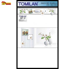 GẠCH ỐP TƯỜNG 30X60 SẮC MÀU TRẮNG TINH KHÔI ĐIỂM BÌNH BÔNG TRẮNG CẮM HOA MAI TRẮNG CAO CẤP GIÁ RẺ