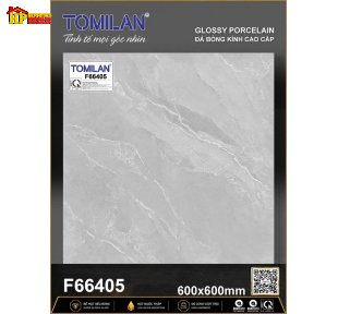GẠCH LÁT NỀN 60X60 SẮC MÀU XÁM SÁNG HỌA TIẾT VÂN ĐÁ CẨM THẠCH DẠNG VỆT CHÉO LỚN SỐNG ĐỘNG CAO CẤP GIÁ RẺ