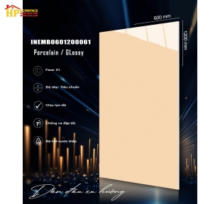GẠCH LÁT NỀN 60X120 MÀU KEM VÀNG 061