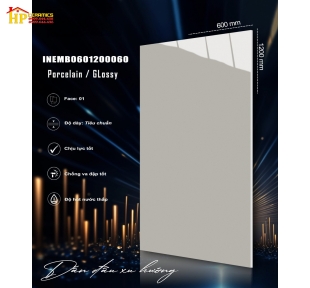 GẠCH LÁT NỀN 60X120 MÀU XÁM 060