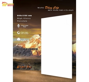 GẠCH LÁT NỀN 60X120 SIÊU BÓNG TRẮNG TRƠN 010