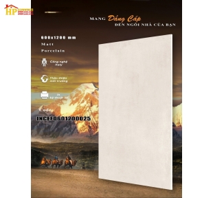 GẠCH LÁT NỀN 60X120 VÂN XÁM LỢT 025