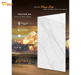 GẠCH LÁT NỀN 60X120 VÂN XÁM CHỈ 009