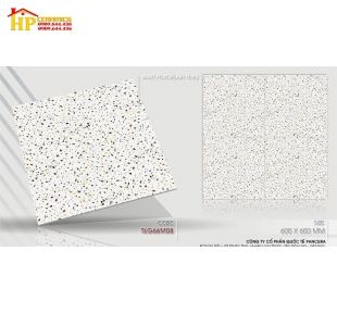 GẠCH LÁT NỀN 60X60 ĐÁ MÀI TRẮNG 66M08