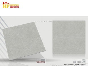 GẠCH LÁT NỀN 60X60 VÂN MÂY XÁM MATT 66M12
