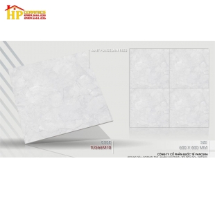 GẠCH LÁT NỀN 60X60 VÂN MÂY XÁM 66M10