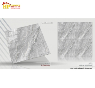 GẠCH LÁT NỀN 60X60 VÂN XÁM ĐÁ 66P06