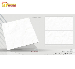 GẠCH LÁT NỀN 60X60 TRẮNG VÂN MÂY 66P01