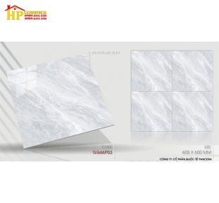 GẠCH LÁT NỀN 60X60 VÂN ĐÁ XÁM 66P03