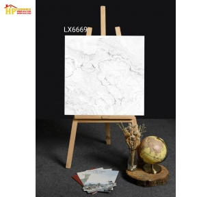 GẠCH 60X60 VÂN MÂY XÁM 6669