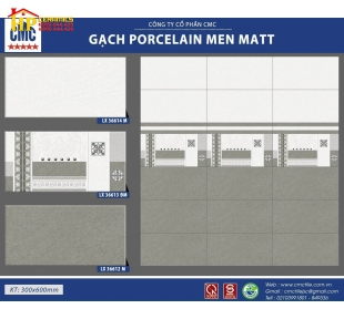 GACH 30X60 VÂN ĐÁ XÁM ĐẬM LỢT ĐIỂM HOA VĂN 36614