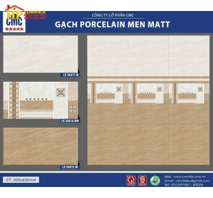 GẠCH 30X60 VÂN ĐÁ NÂU ĐIỂM HOA VĂN MATT 36617