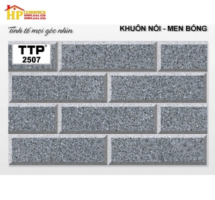 Gạch 25x40 trang trí xám