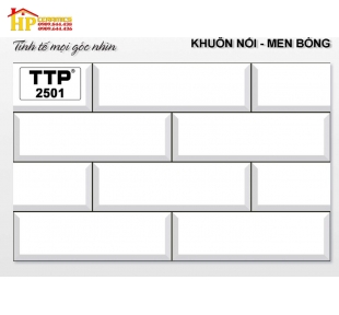 Gạch 25x40 trang trí 2501