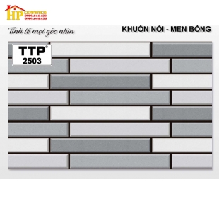 Gạch 25x40 trang trí 2503