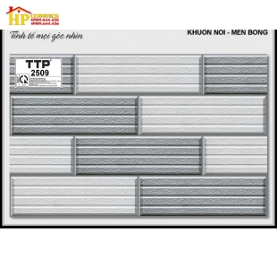 GẠCH 25X40 TRANG TRÍ 2509