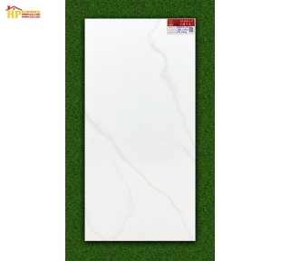 GẠCH ỐP TƯỜNG 50X100 TRẮNG VÂN KHÓI 29051