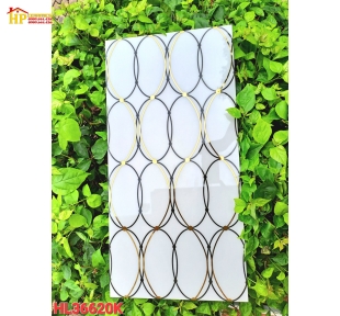 GACH 30X60 TRANG TRÍ TRẮNG NHỦ TRÒN
