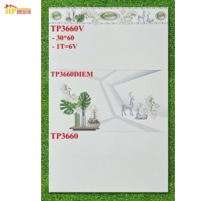 GẠCH 30X60 TRẮNG TRƠN ĐIỂM NAI BẠC