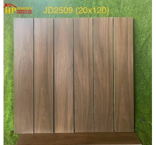 GẠCH 20X120 VÂN GỖ 2509